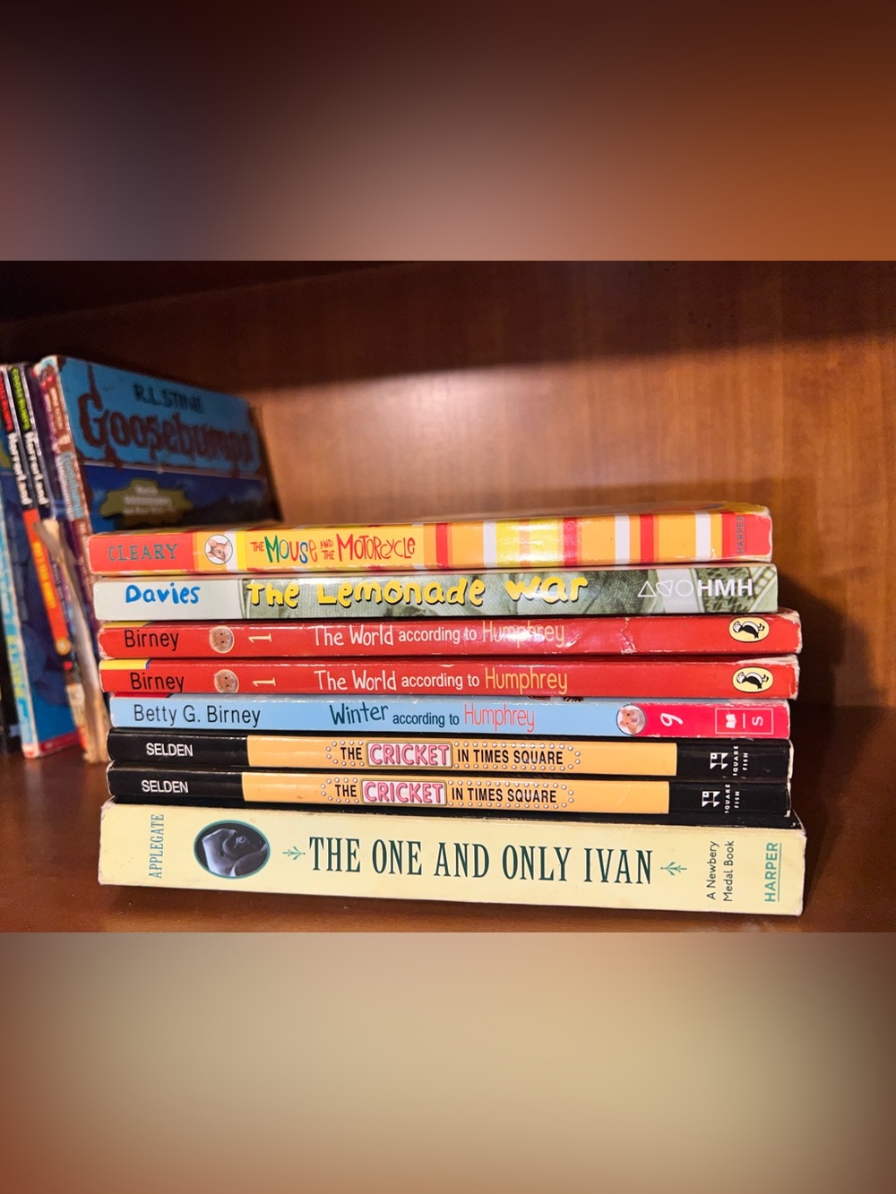 Children's classroom Book’s Lot - BUNDLE! buy all together